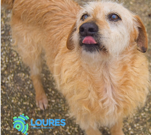 A68/2025 Lord C | 620099100119357